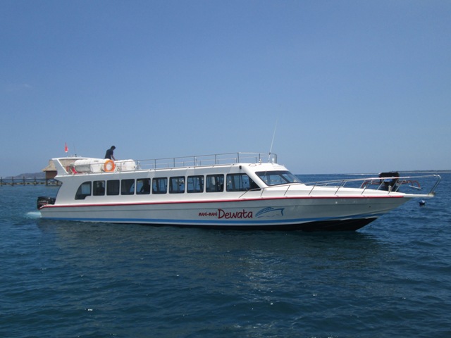 Mahi Mahi Dewata have Launched in October 2013