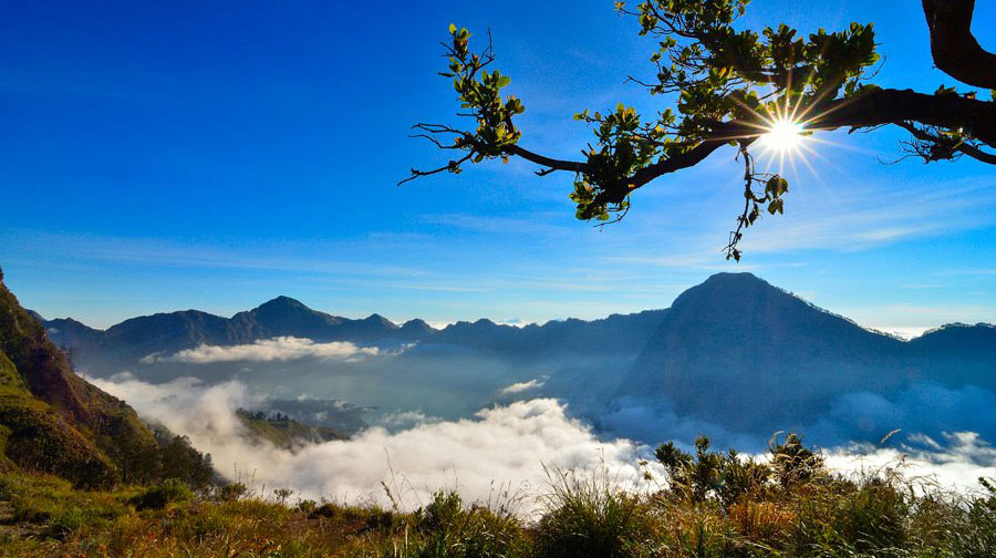 Plawangan Sembalun Crater Rim an altitude 2639 meter of mount Rinjani