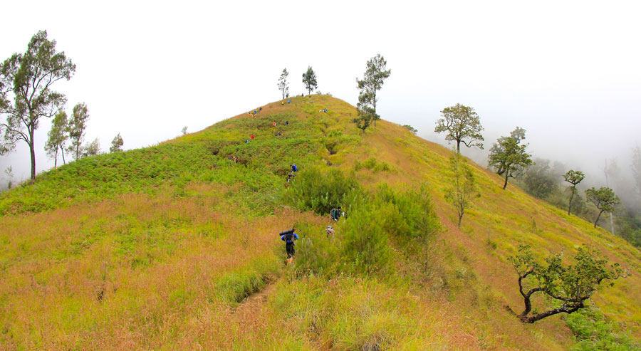 Bukit penyesalan ketinggian 2000 m dpl Sembalun Lawang - Gunung Rinjani