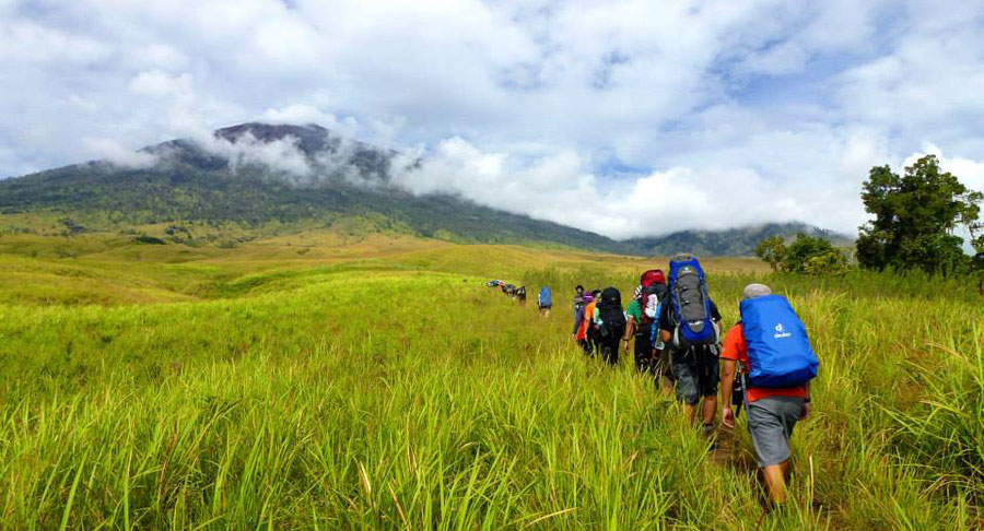 Padang Savanna Sembalun Lawang ketinggian 1400 m dpl - Gunung Rinjani