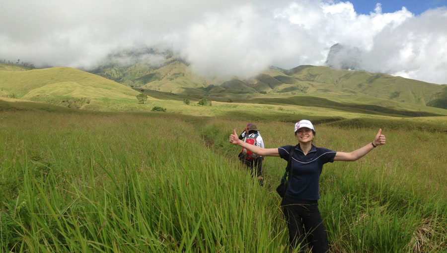 Savannah grass tall at Sembalun Lawanga altitude 1500 meter - Mount Rinjani National Park