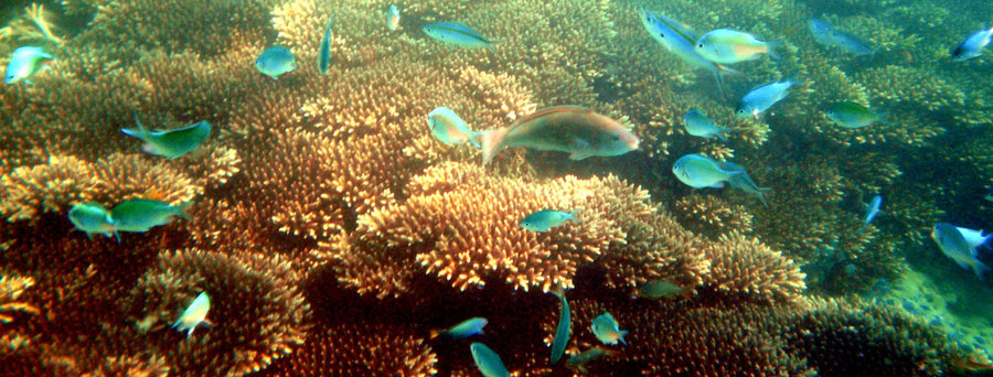 Gili Sudak - Lombok