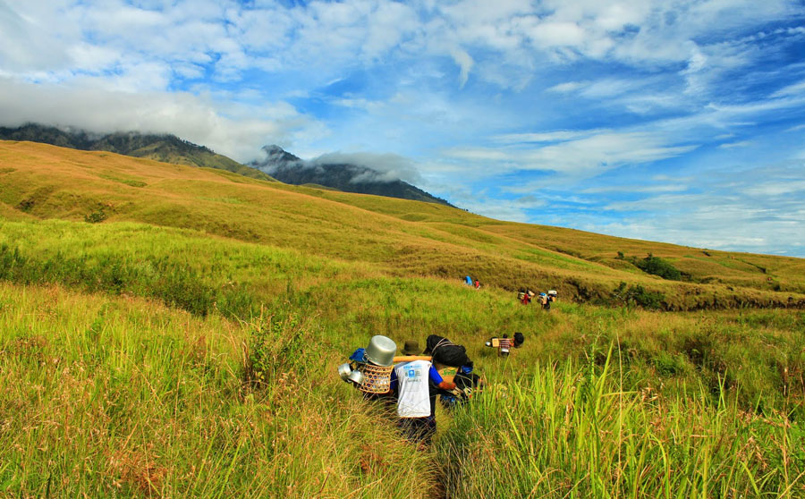 Padang Sabana Sembalun Lawang Ketinggian 1500 meter - Taman Nasional Gunung Rinjani