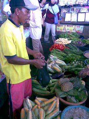 What we should prepare before you climbing to Mount Rinjani volcano?
