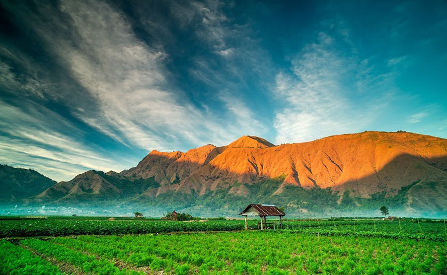 Look Pergasingan Hill - Sembalun Lawang village of Mount Rinjani National Park - Lombok Island Indonesia